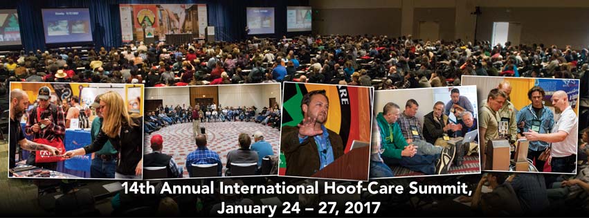 International Hoof-Care Summit 2017