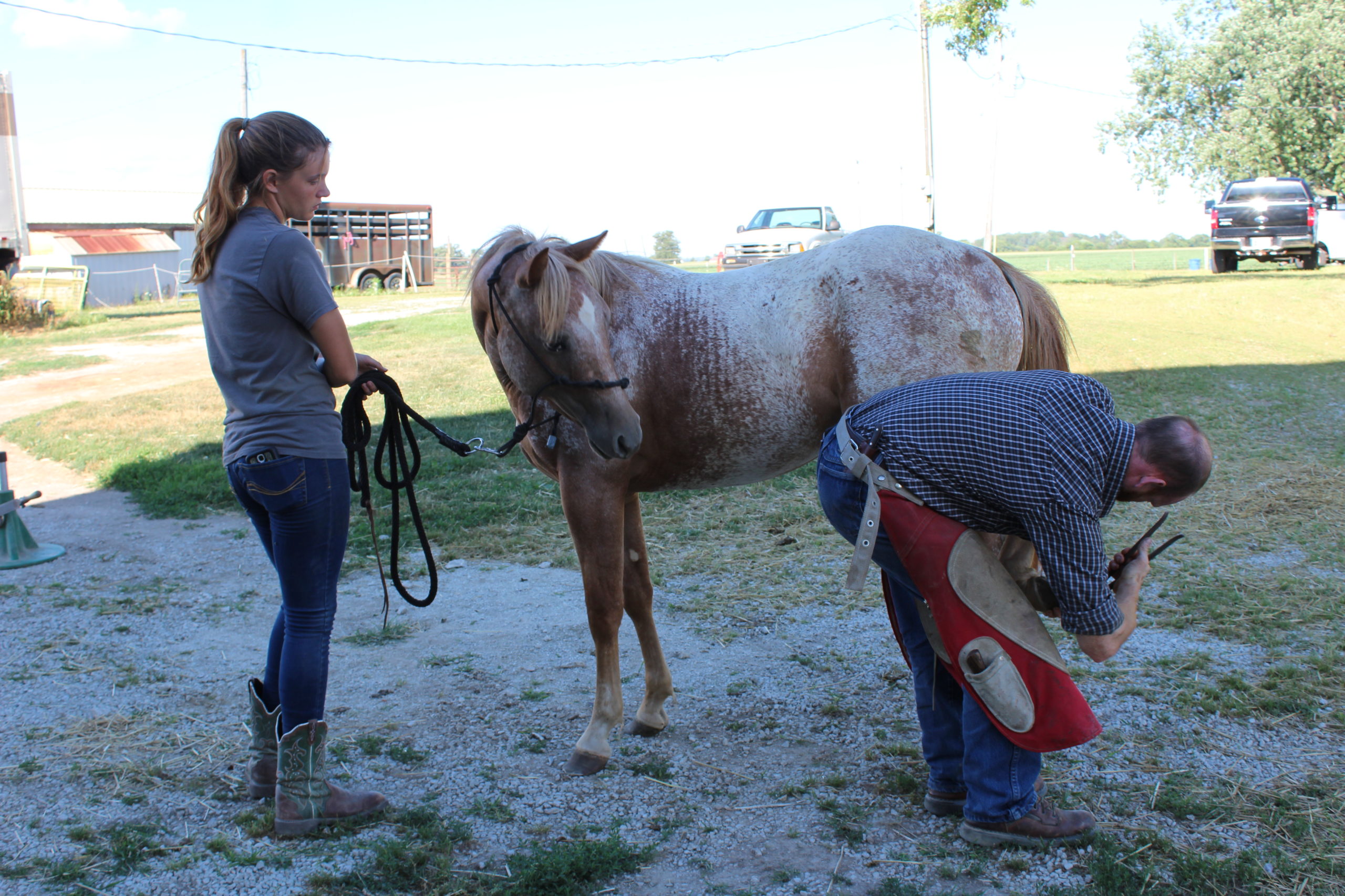 Hold Your Horses…