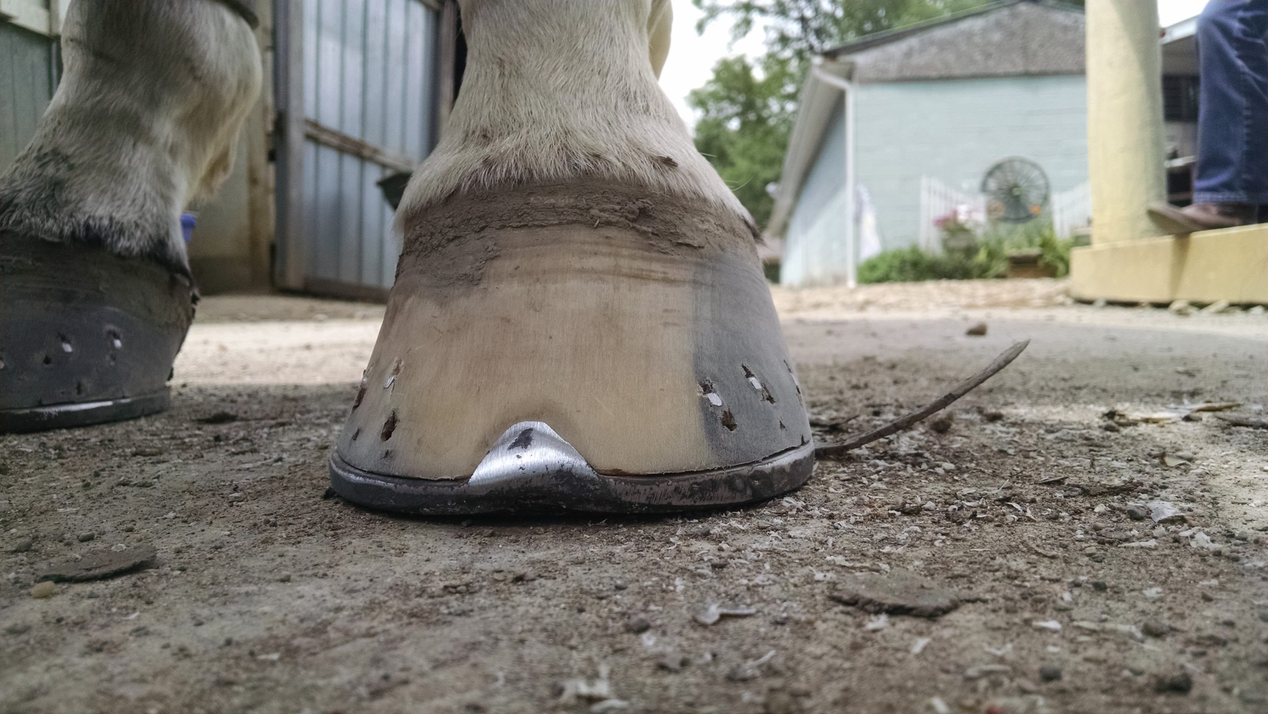 When To Use Shoes